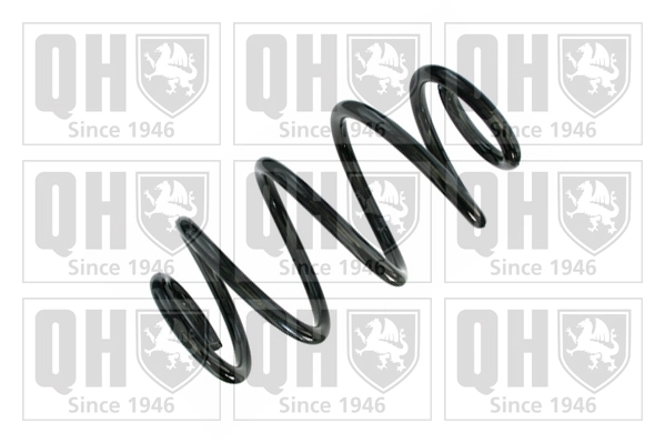 Suspension Spring (QCS8649)