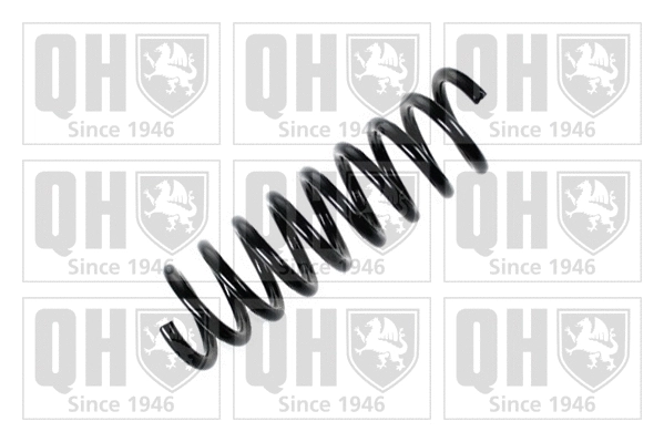 Suspension Spring (QCS5833)