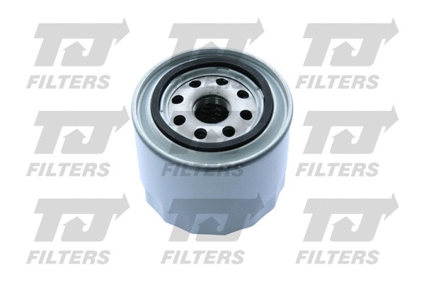 Oil Filter (QFL0102)