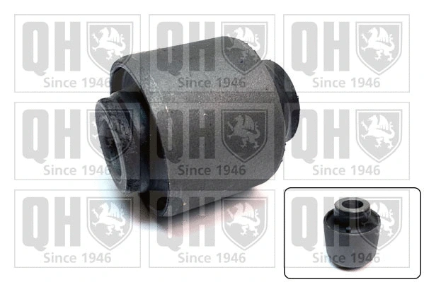 Mounting, control/trailing arm (EMS8781)