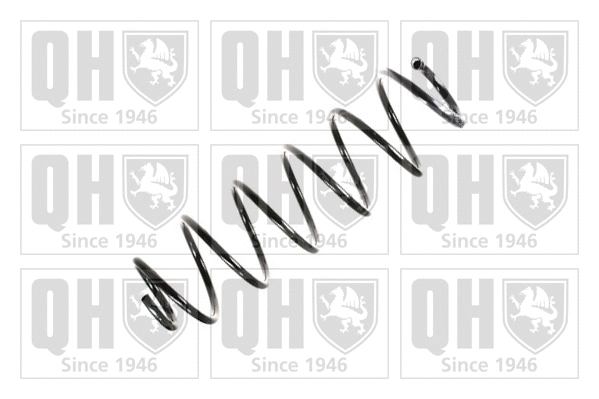 Suspension Spring (QCS5892)
