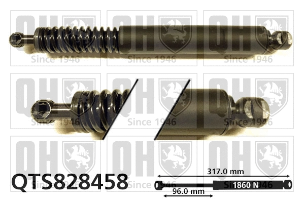 Gas Spring, boot/cargo area (QTS828458)