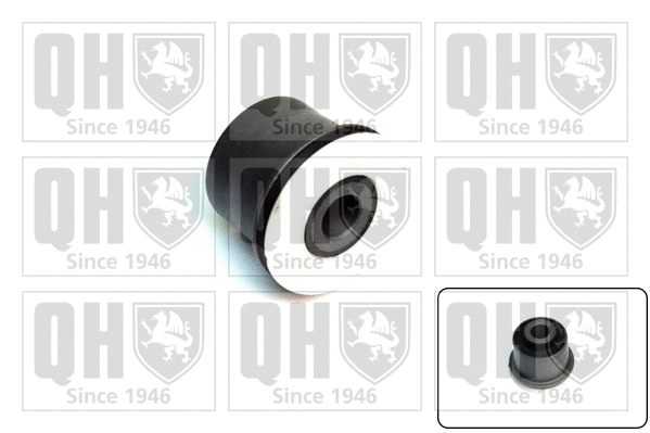 Mounting, control/trailing arm (EMS8613)