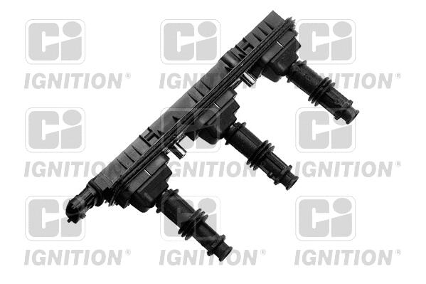 Ignition Coil (XIC8338)