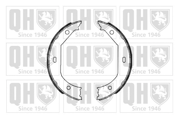 Brake Shoe Set, parking brake (BS996)