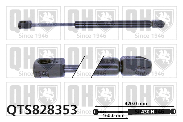 Gas Spring, boot/cargo area (QTS828353)