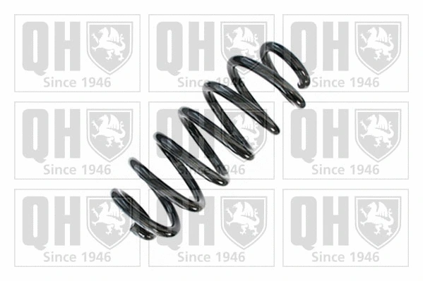 Suspension Spring (QCS8710)
