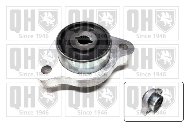 Mounting, control/trailing arm (EMS8616)