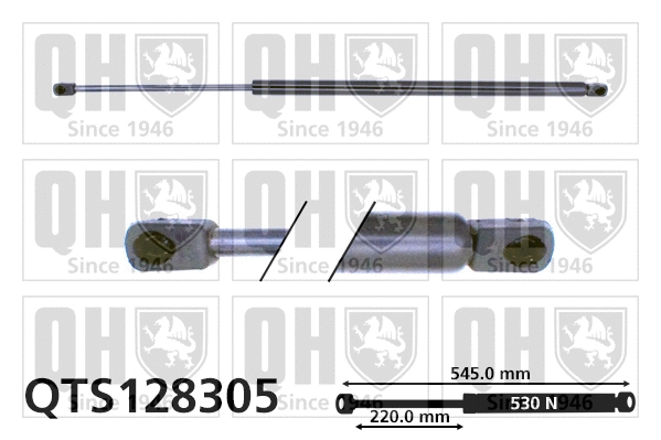 Gas Spring, boot/cargo area (QTS128305)