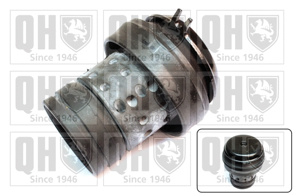 Mounting, engine (EM2509)