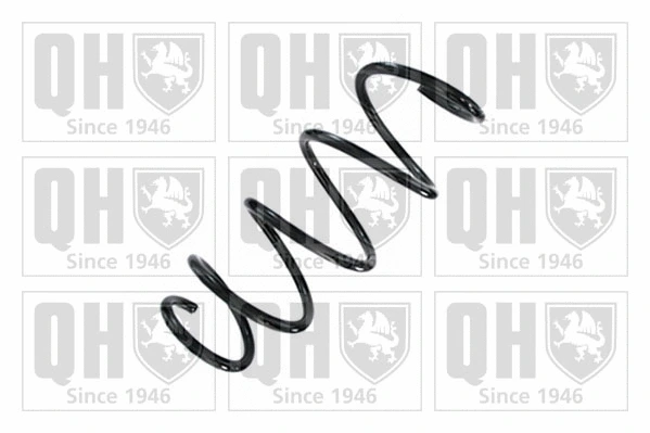 Suspension Spring (QCS9113)