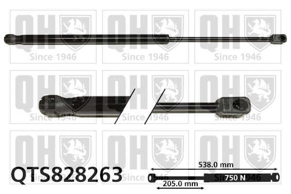 Gas Spring, boot/cargo area (QTS828263)