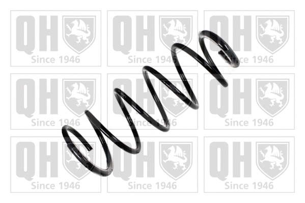 Suspension Spring (QCS7886)