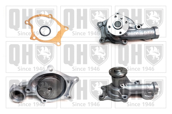 Water Pump, engine cooling (QCP2924)