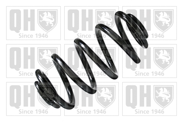 Suspension Spring (QCS5389)