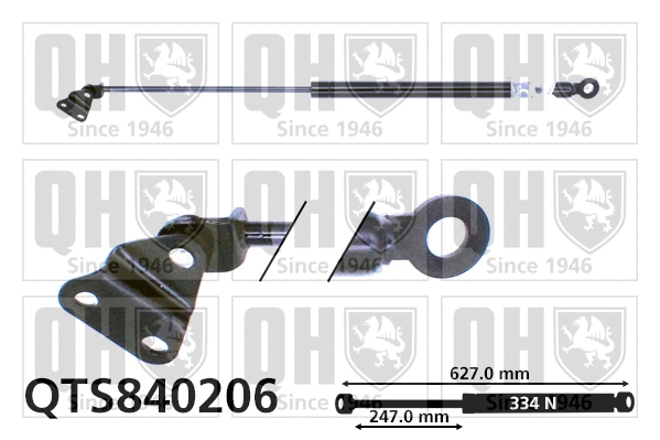 Gas Spring, boot/cargo area (QTS840206)