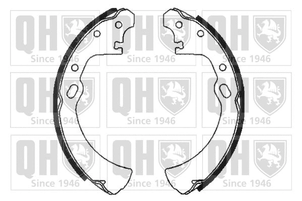 Brake Shoe Set (BS896)