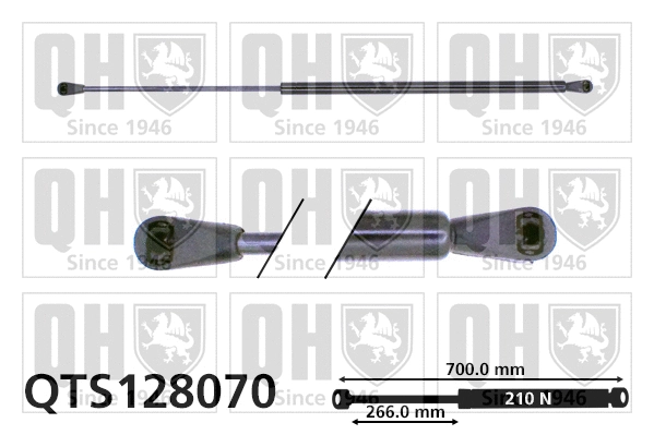 Gas Spring, boot/cargo area (QTS128070)