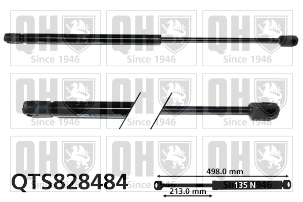 Gas Spring, rear window (QTS828484)