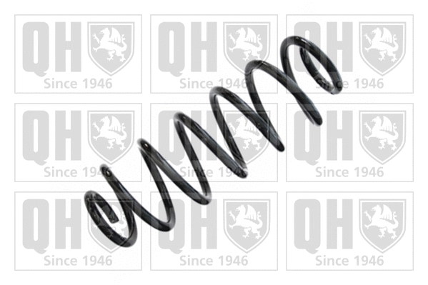 Suspension Spring (QCS5594)