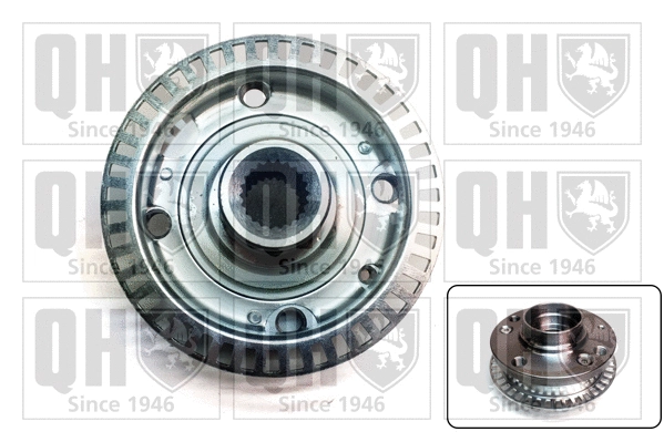Wheel Hub (QWH123)