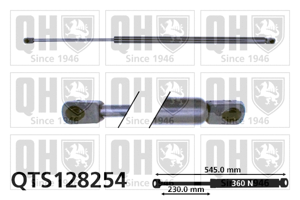 Gas Spring, boot/cargo area (QTS128254)