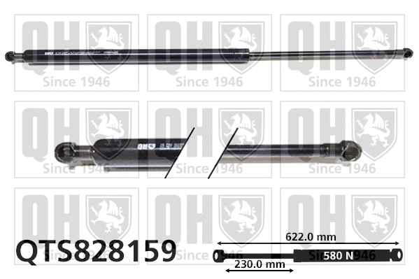 Gas Spring, boot/cargo area (QTS828159)