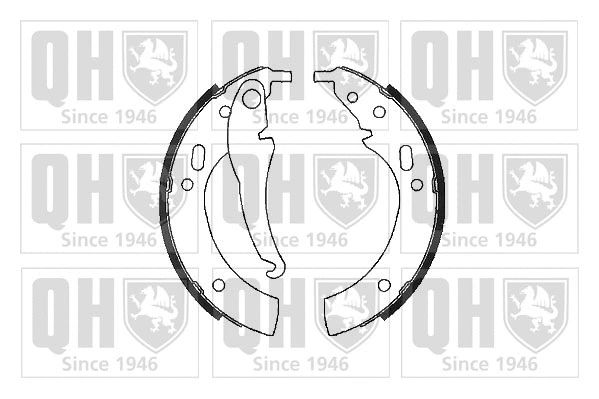 Brake Shoe Set (BS605)