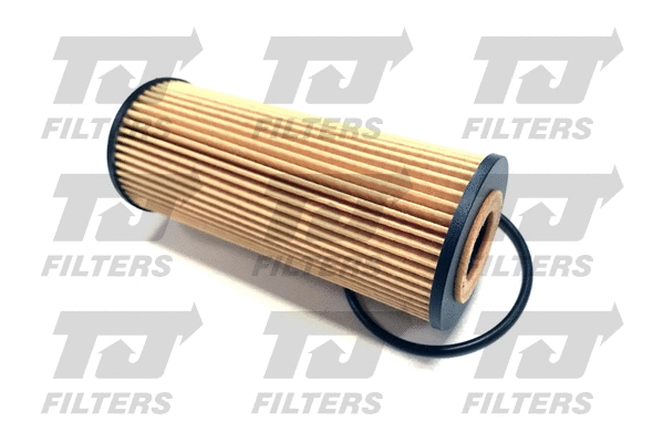 Oil Filter (QFL0355)