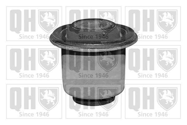 Mounting, control/trailing arm (EMS8514)