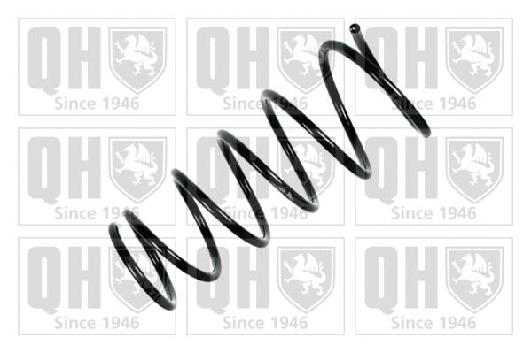 Suspension Spring (QCS7993)