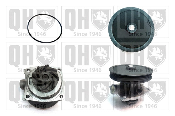 Water Pump, engine cooling (QCP3367)