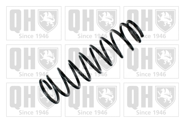 Suspension Spring (QCS6804)