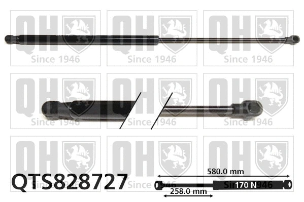 Gas Spring, bonnet (QTS828727)