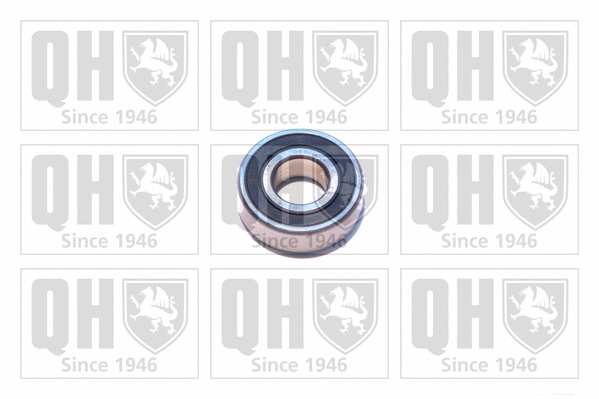 Bearing (XB9906)