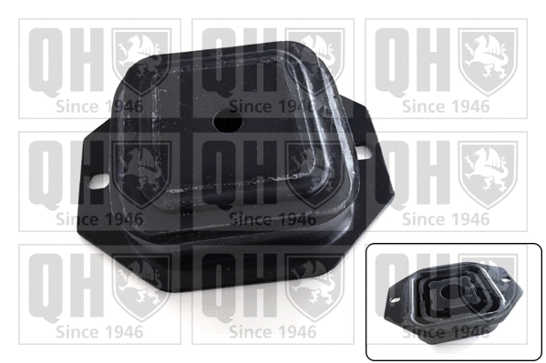 Mounting, control/trailing arm (EMS2603)