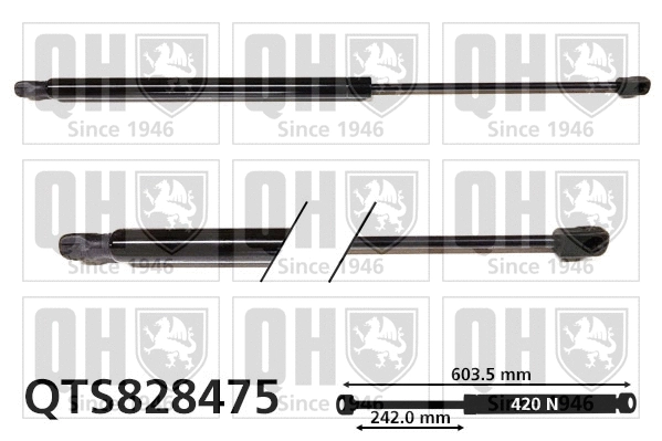 Gas Spring, boot/cargo area (QTS828475)
