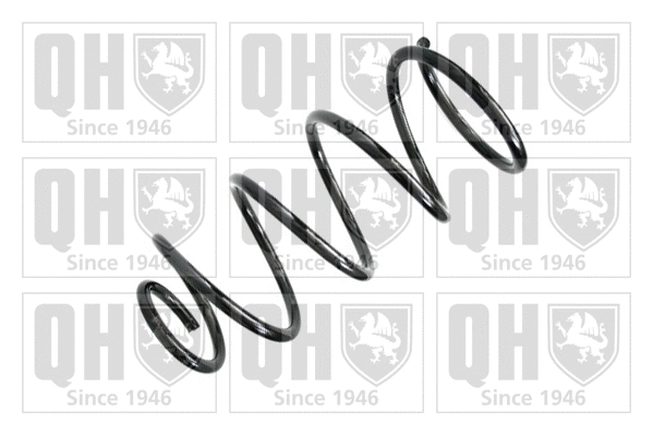 Suspension Spring (QCS7391)