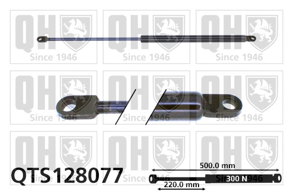 Gas Spring, boot/cargo area (QTS128077)