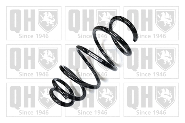 Suspension Spring (QCS6797)
