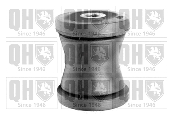 Mounting, control/trailing arm (EMS8298)