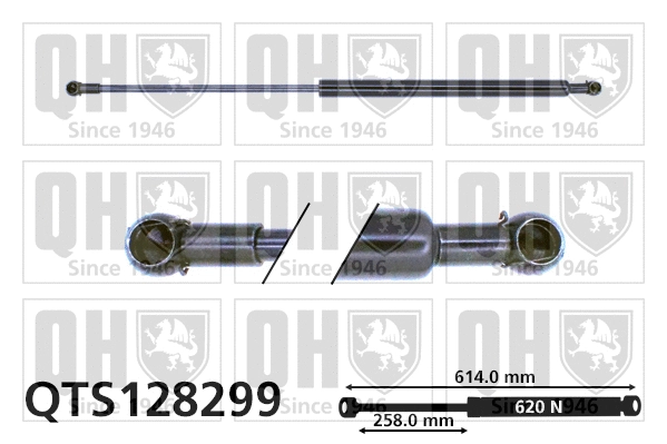 Gas Spring, boot/cargo area (QTS128299)
