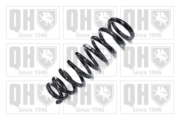 Suspension Spring (QCS6001)