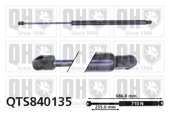 Gas Spring, boot/cargo area (QTS840135)