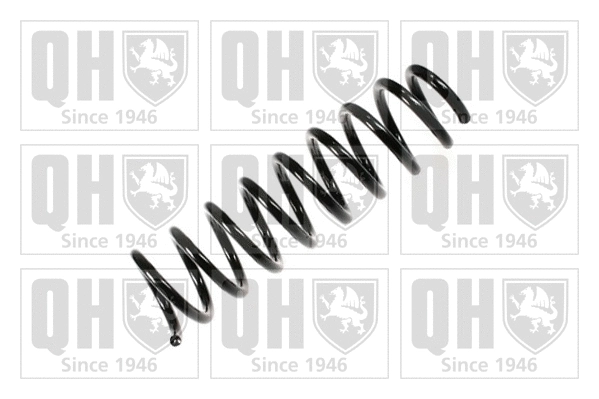 Suspension Spring (QCS6164)