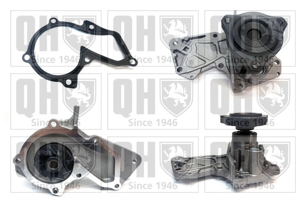 Water Pump, engine cooling (QCP3947)