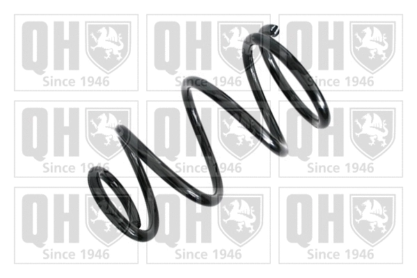 Suspension Spring (QCS6830)