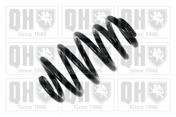 Suspension Spring (QCS5542)