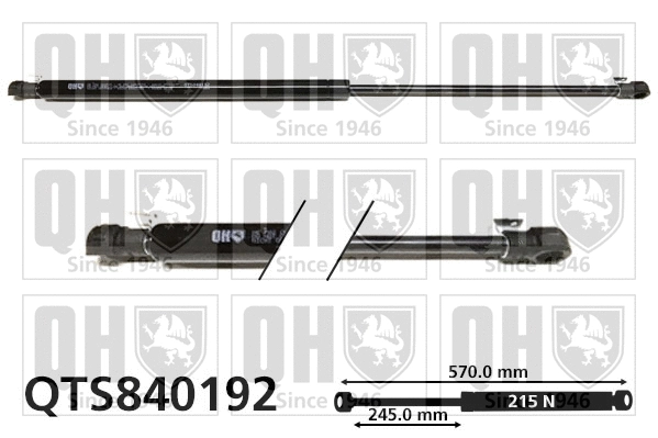 Gas Spring, boot/cargo area (QTS840192)