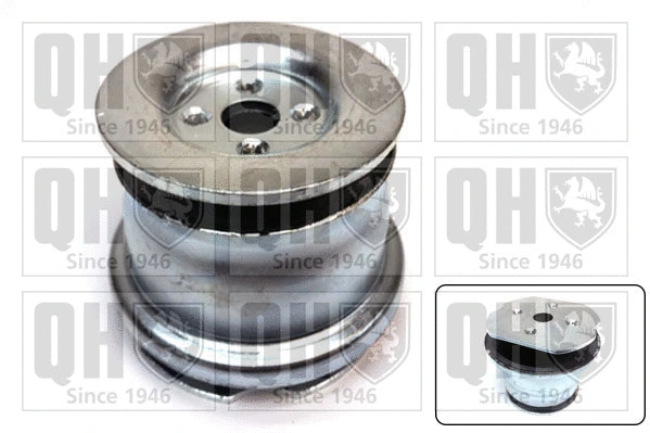 Mounting, control/trailing arm (EMS4092)